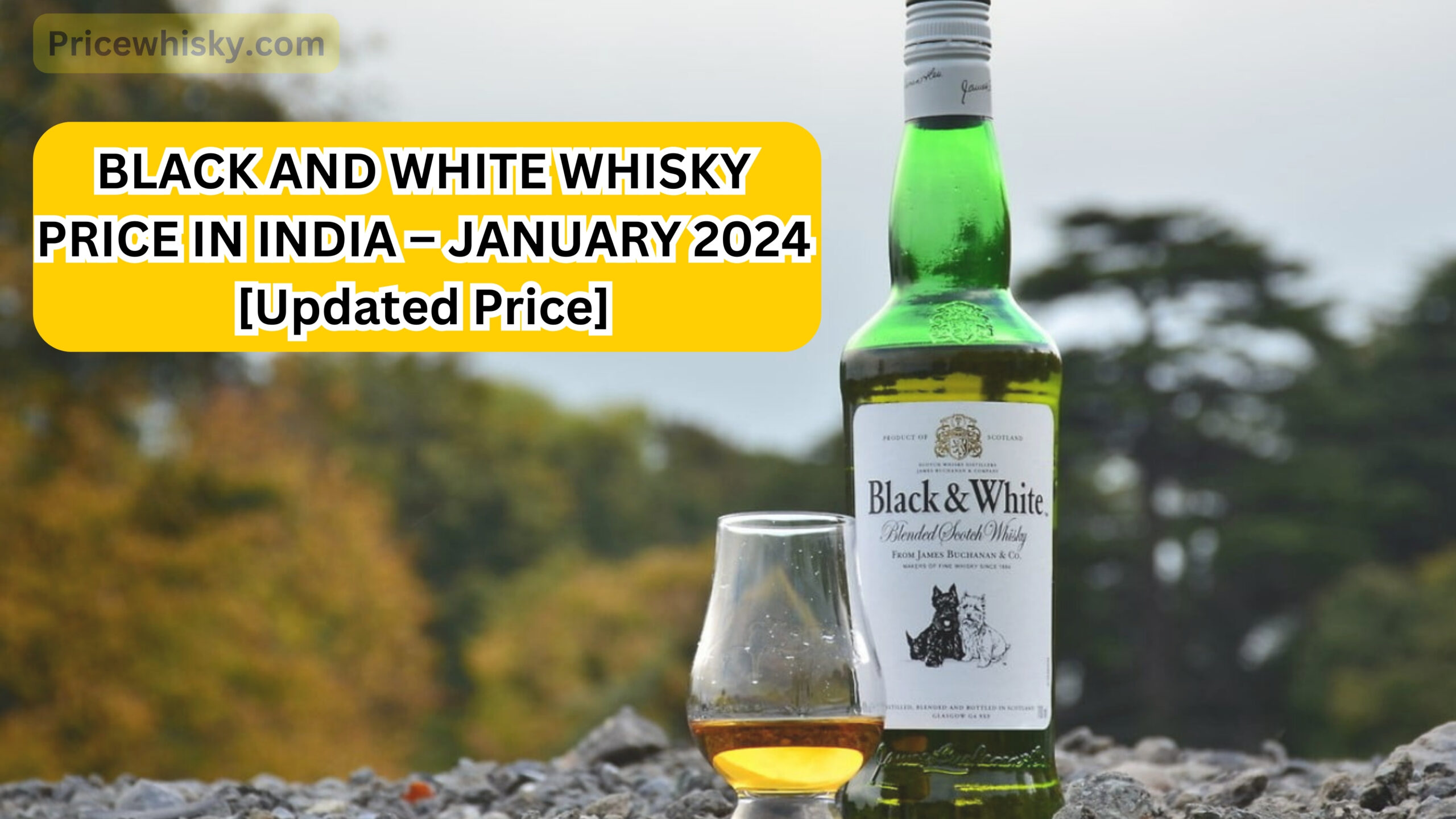 Black & White Whisky Price